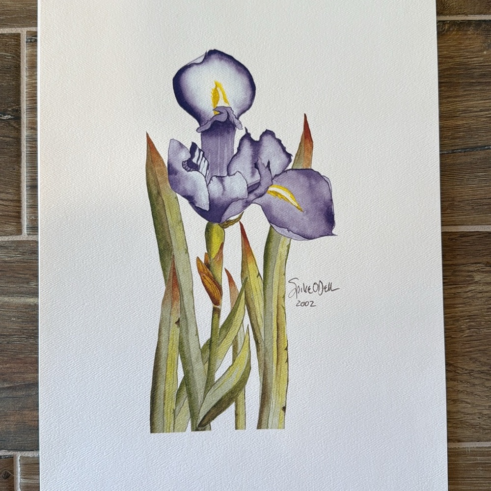 Chicago WGN’s Spike O’Dell - Purple Iris Watercolor Print - 2002 - Picture 3 of 5